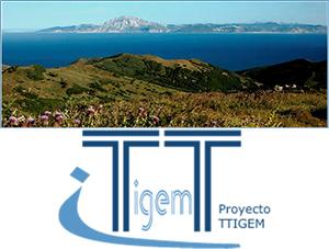 Proyecto TTigem